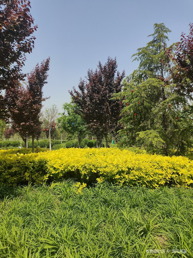 咸阳植物园