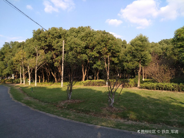 绿洲公园