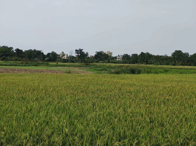 新潭村