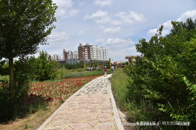 锡林浩特生态植物园