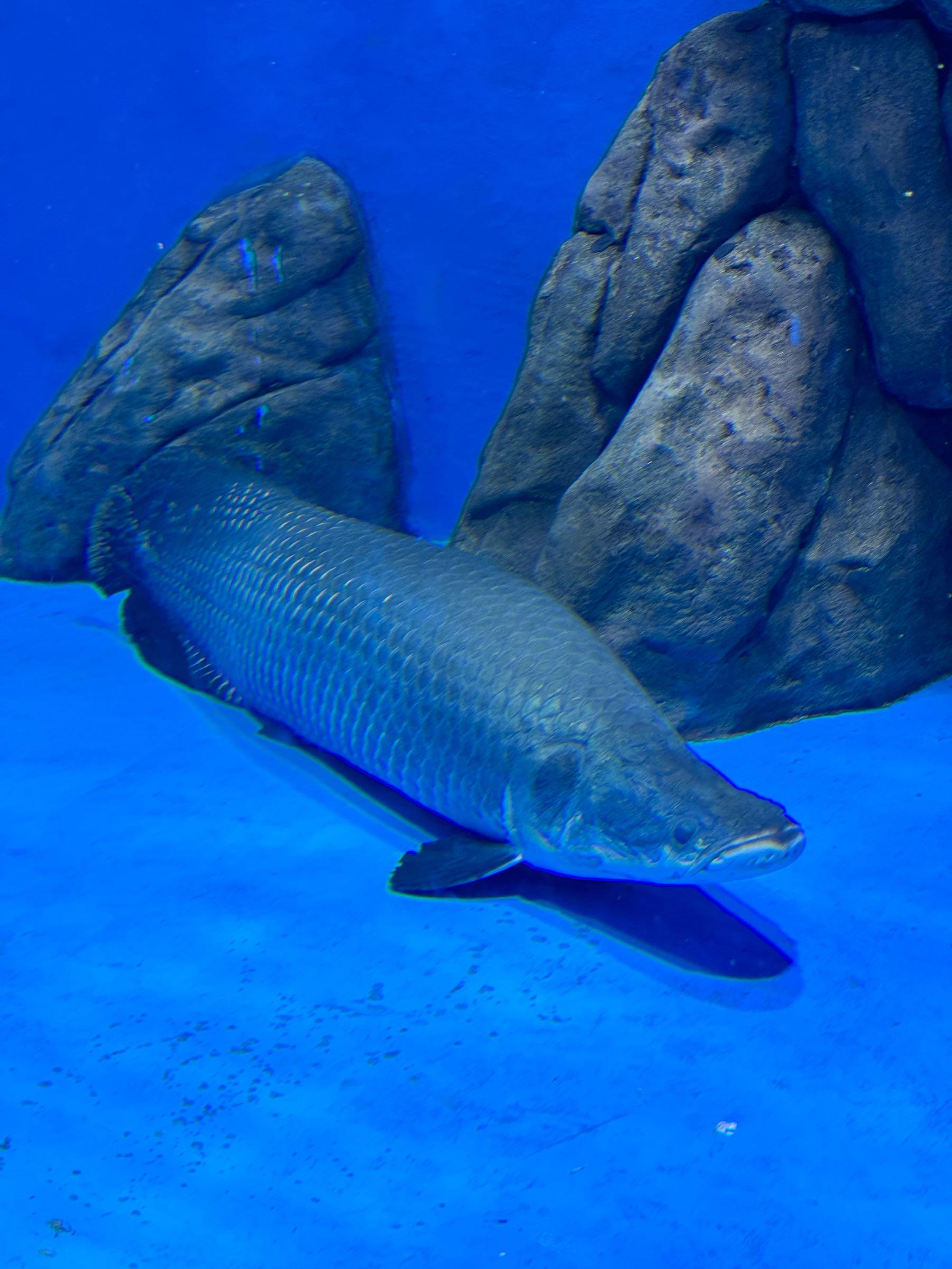 无论你是历史控,美食家还是自然爱好者,这里都有你的心头好.