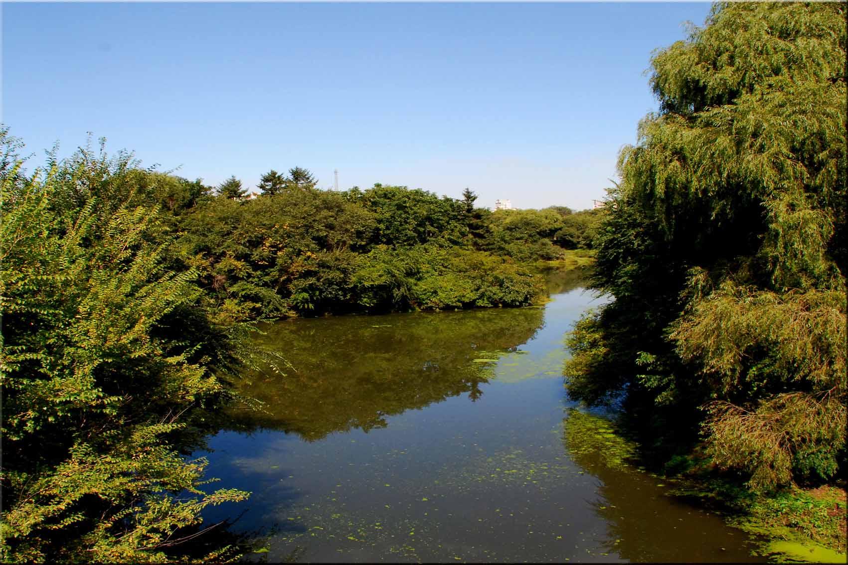 今天要给大家推荐几处哈长的宝藏景点,不去就亏啦!