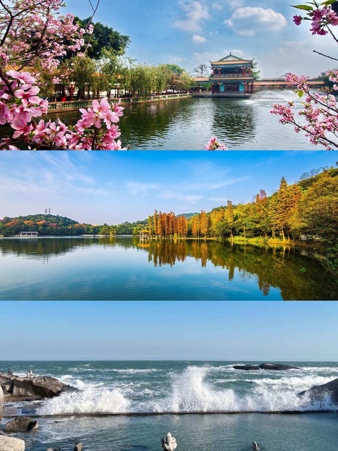 旅游景点北京路文化旅游区永庆坊广州塔感受历史与现代